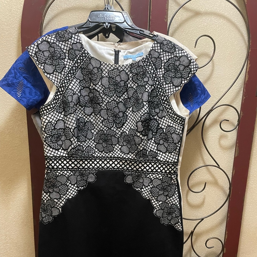 Beautiful and detailed black and white Antonio Melani size 12 dress
